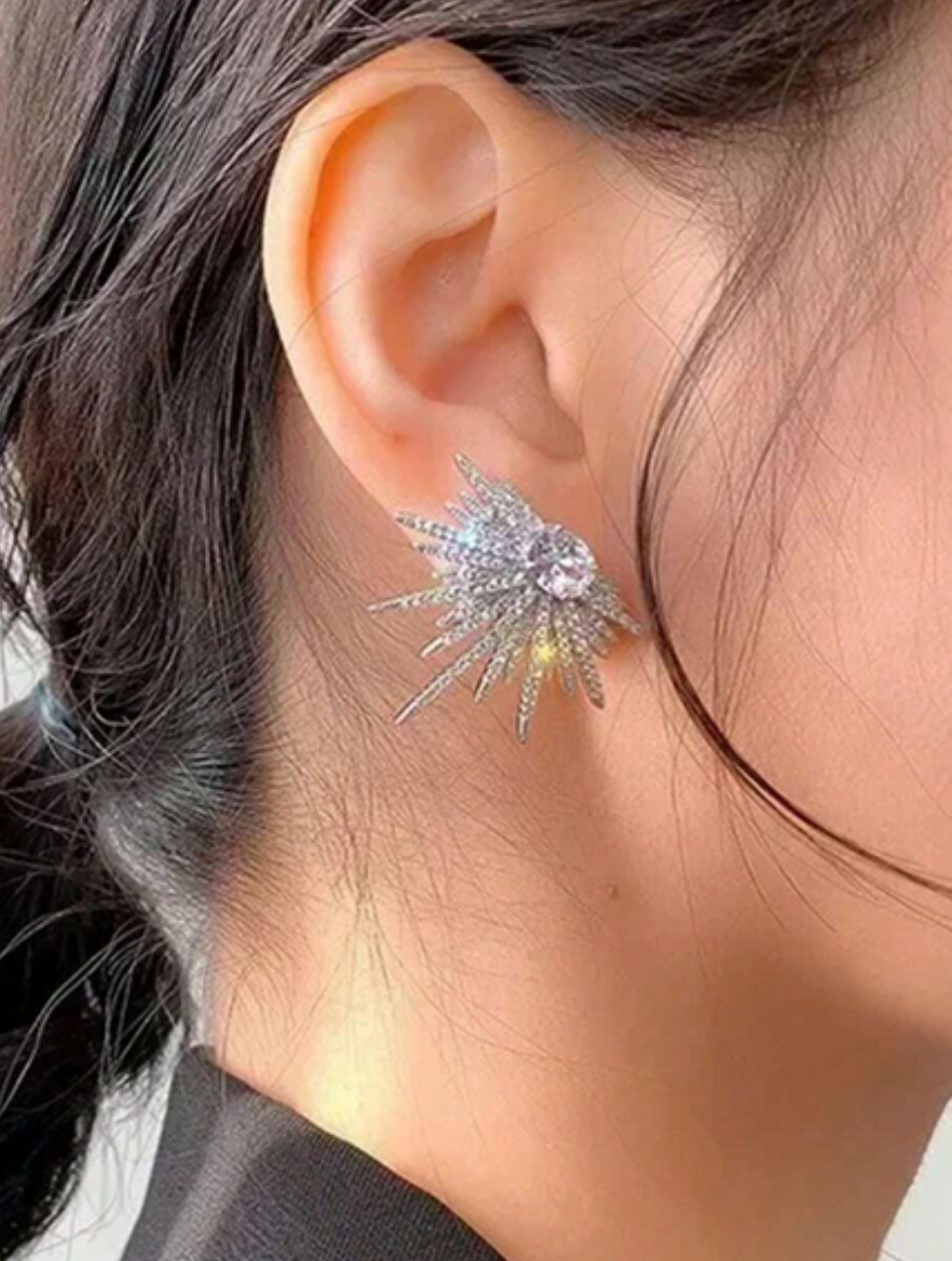 Luxury Silver Star Wing Earrings