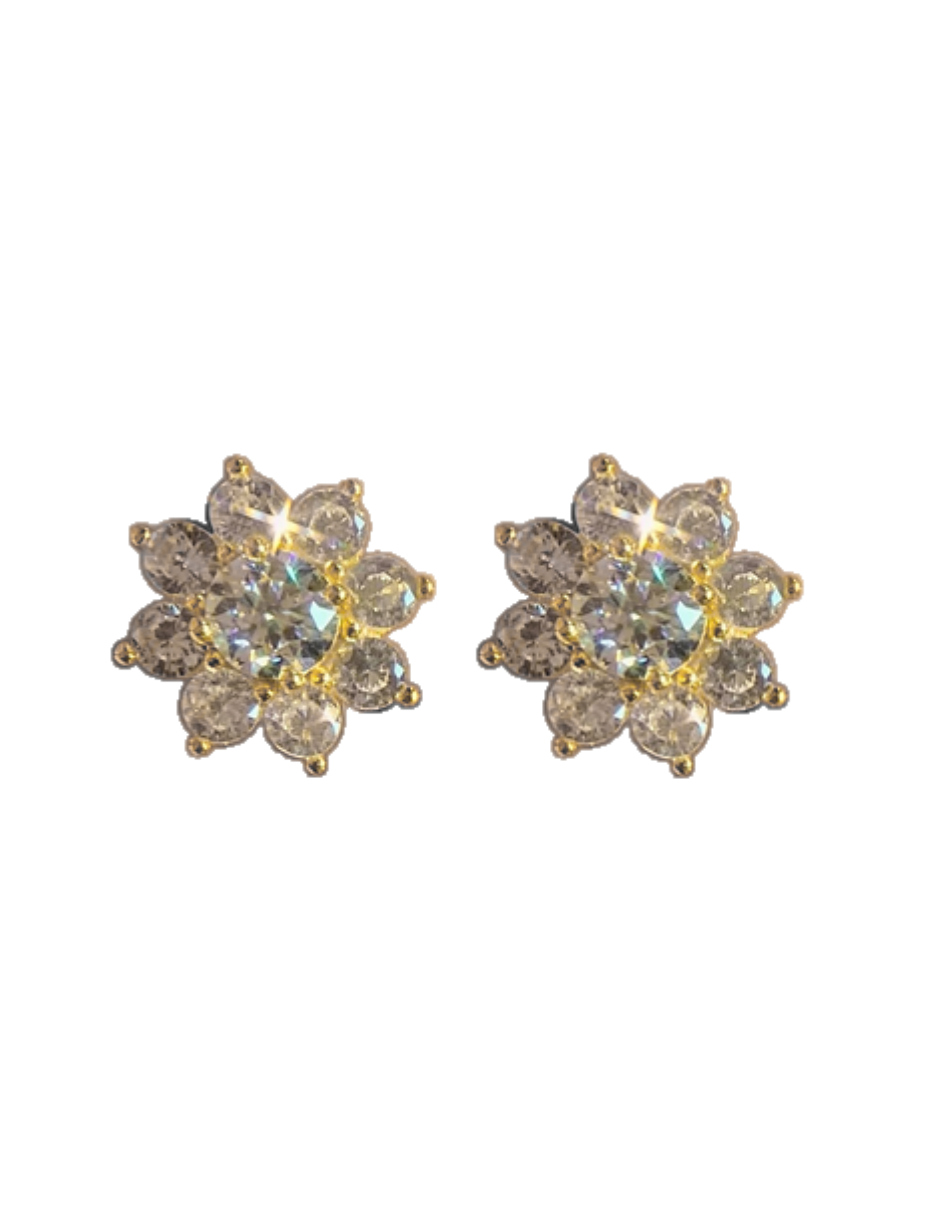 Blomster Moissanit Øreringe | S925 Sterling Sølv