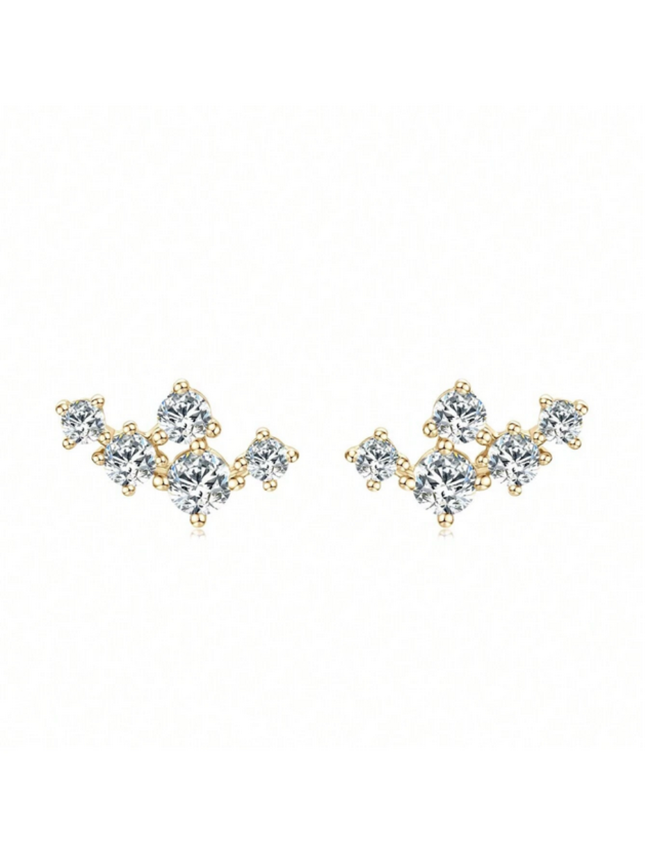 S925 Silver Moissanite Crown Stud Earrings | Radiant Beauty