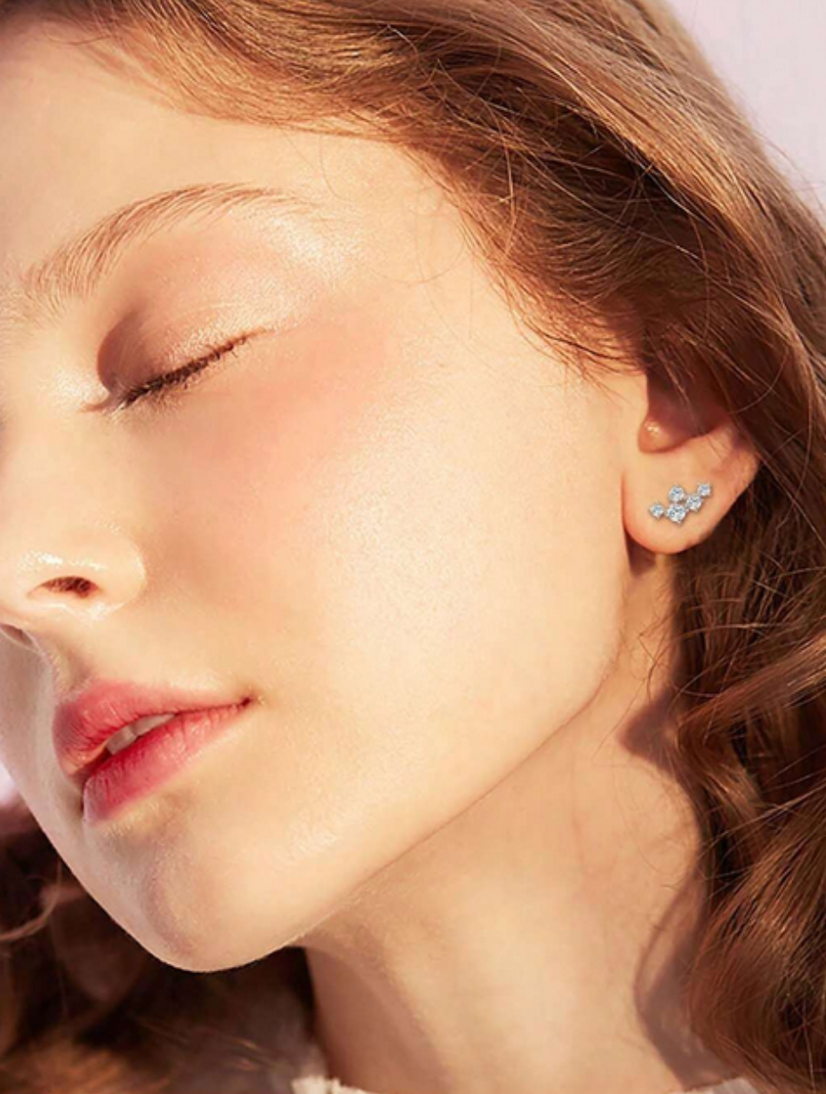 S925 Silver Moissanite Crown Stud Earrings | Radiant Beauty