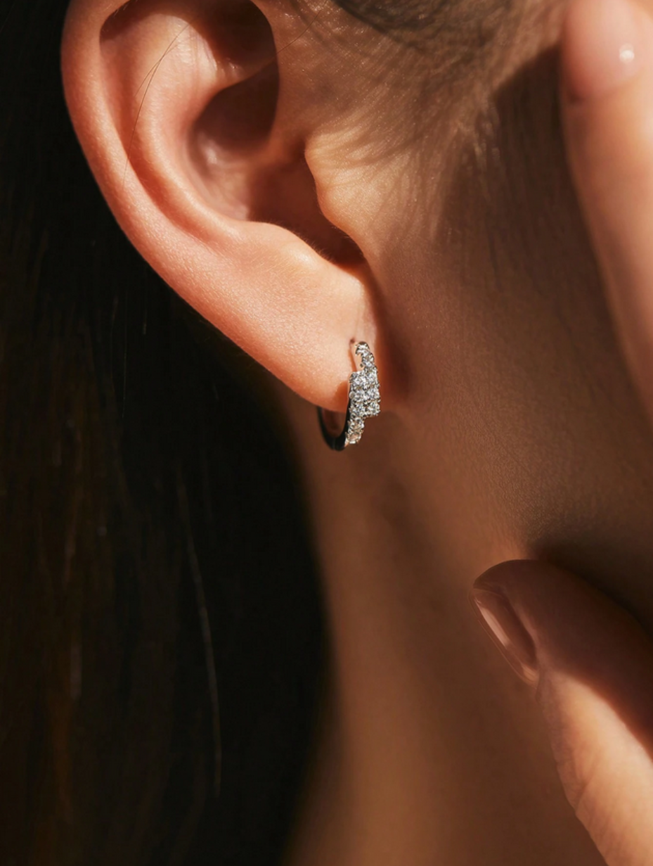 S925 Sterling Silver Moissanite Hoop Earrings | Double Row Design