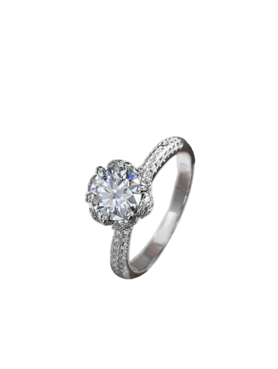 Moissanit Evigheds Ring | Sterling Sølv Bånd